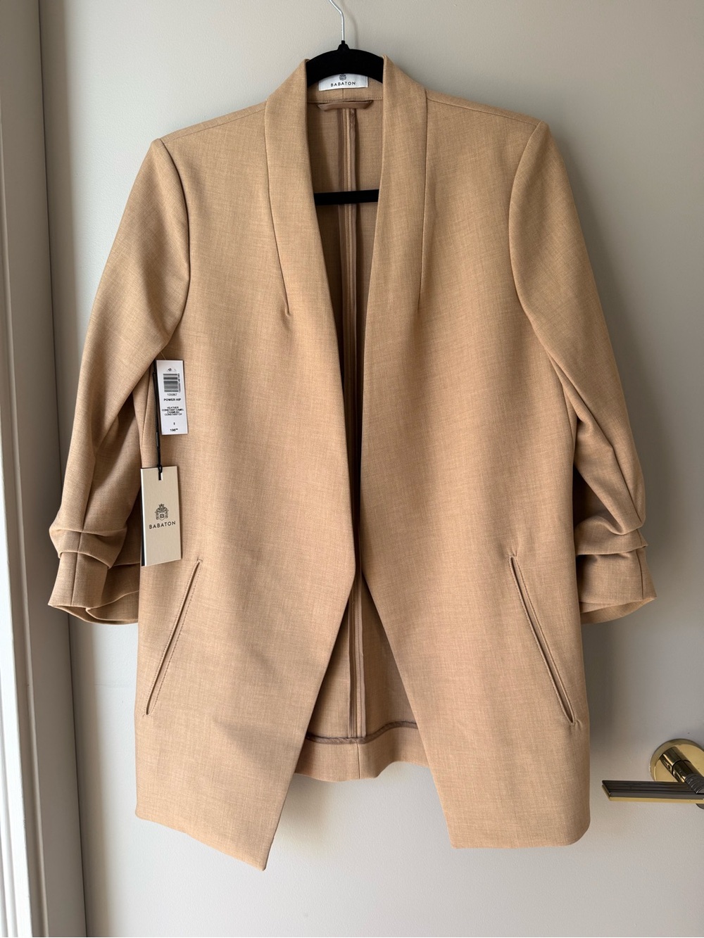 BNWT Aritzia Babaton Blazer